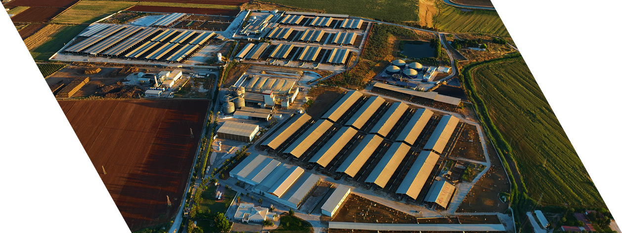 Şanlıurfa Besi Çiftliği